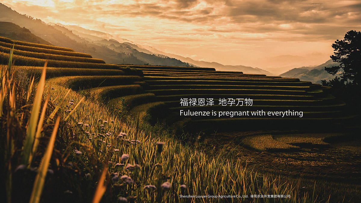 食品公司VI設(shè)計