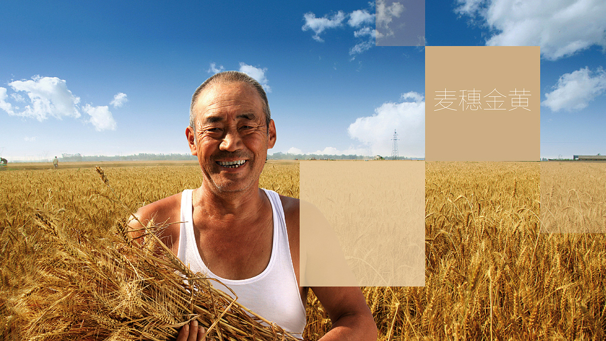 食品公司VI設(shè)計